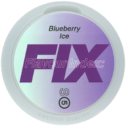 Fix Blueberry Ice [2023]