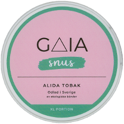 Gaia Alida Tobak XL [2022]