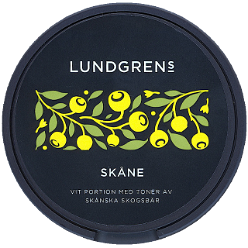 Lundgrens Skåne [2022]