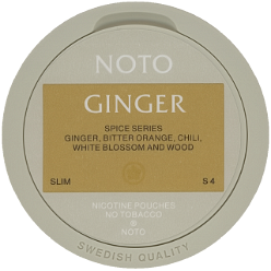 Noto Ginger [2024]