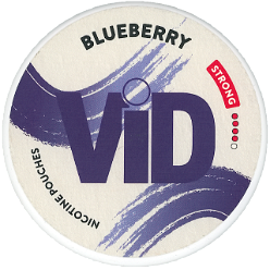 Vid Blueberry [2023]