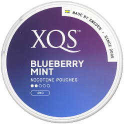 Xqs Blueberry Mint 4 mg [2024]