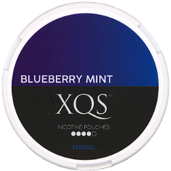 Xqs Blueberry Mint Strong [2022]