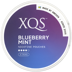 Xqs Blueberry Mint Strong [2024]